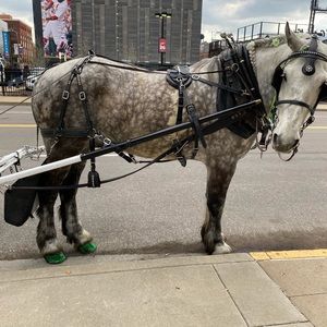 Meet your Posher, Jermaine